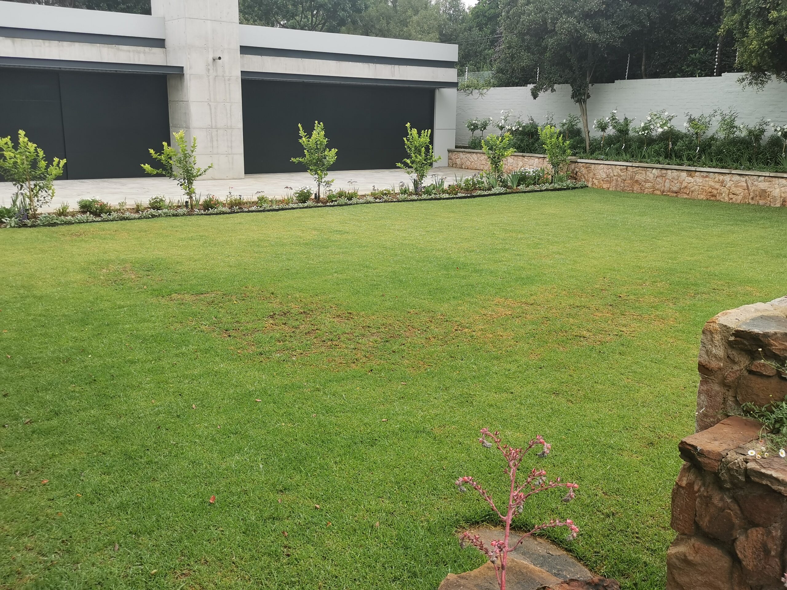 1A After Landscaping