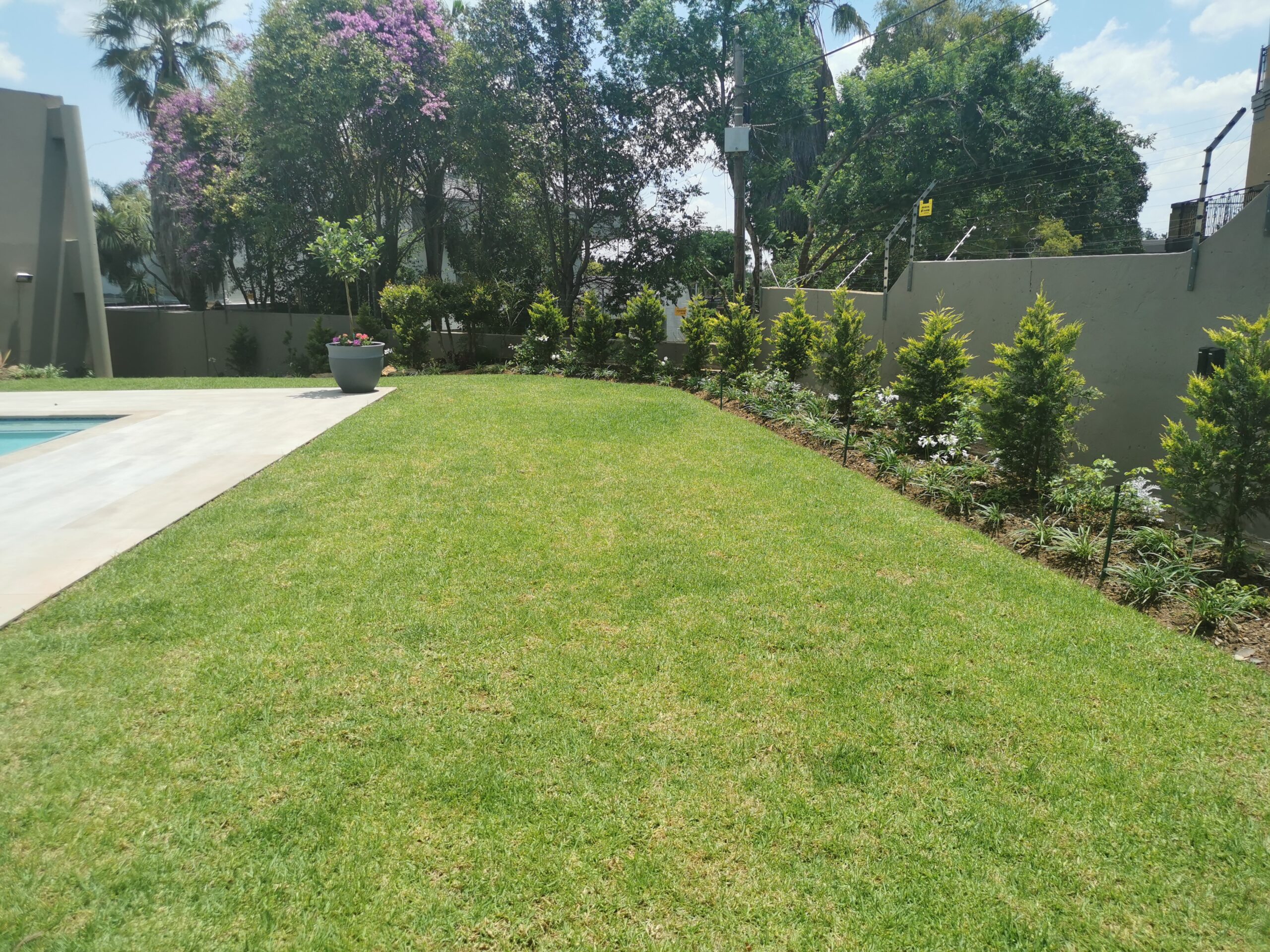 6A After Landscaping
