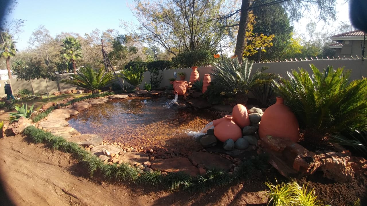 IMG-20180605-WA0002 Pots & Ponds