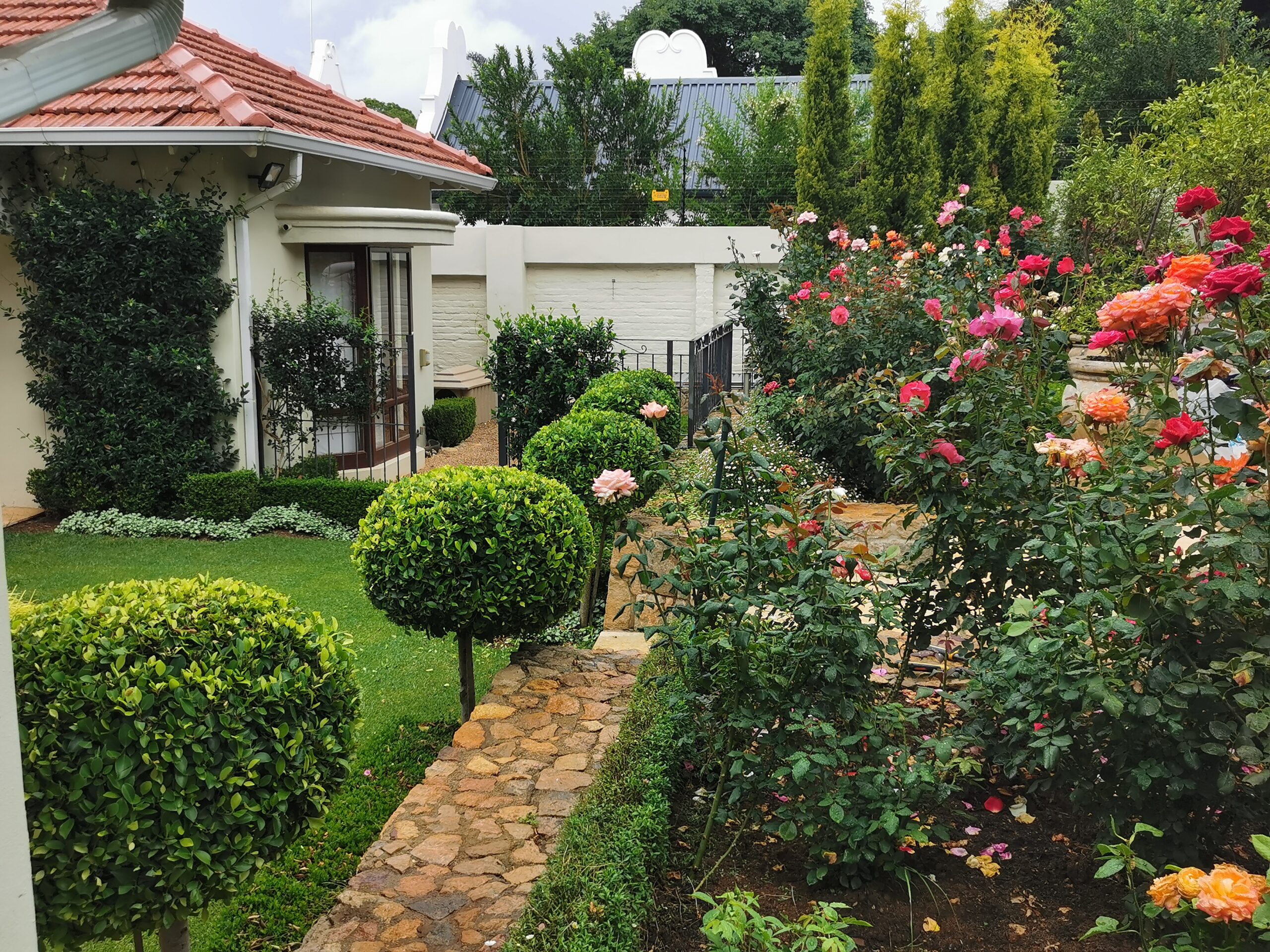 Saxonwold (2) Rose Garden