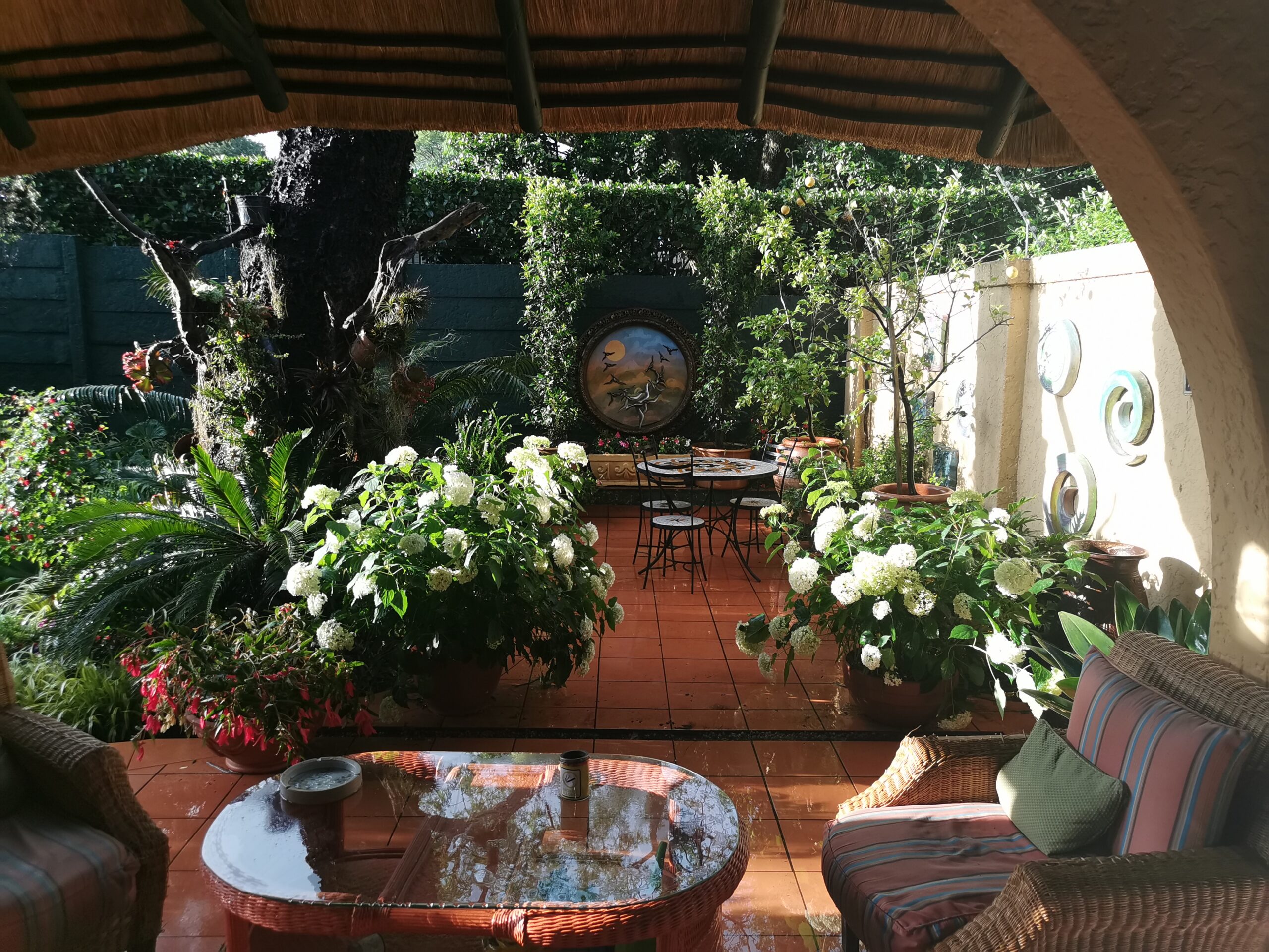 Garden Patio